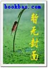 翻版情人